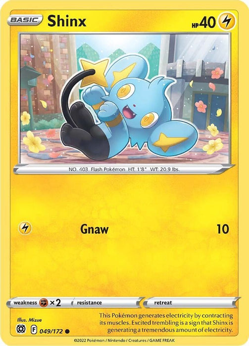 Shinx (#049/172) (SWSH09: Brilliant Stars) Near Mint Reverse Holofoil