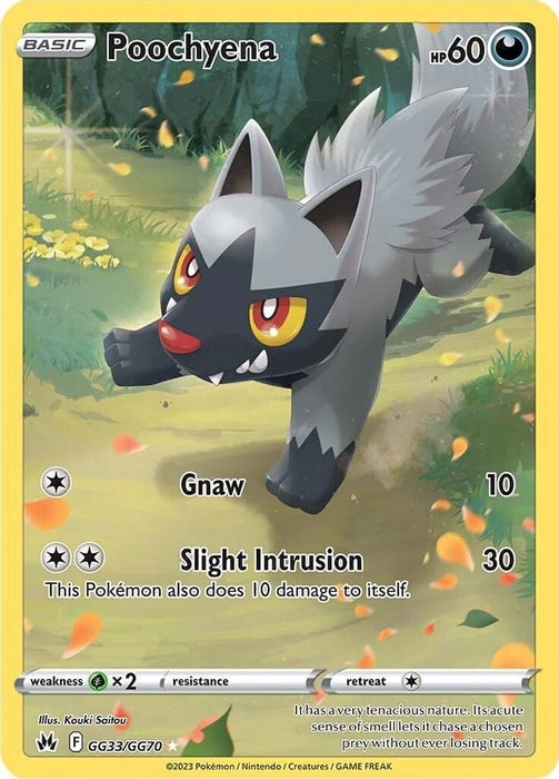Poochyena (#GG33/GG70) (SWSH: Crown Zenith: Galarian Gallery) Near Mint Holofoil