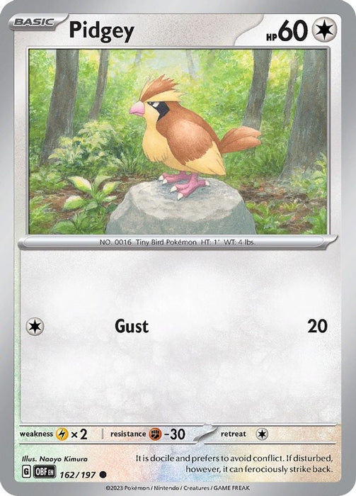 Pidgey (#162/197) (SV03: Obsidian Flames)