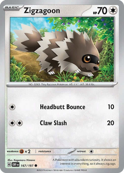 Zigzagoon (#167/197) (SV03: Obsidian Flames)