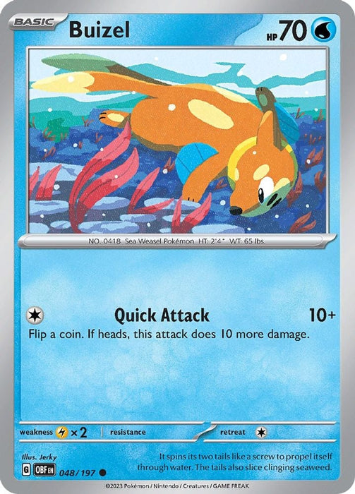 Buizel (#048/197) (SV03: Obsidian Flames)