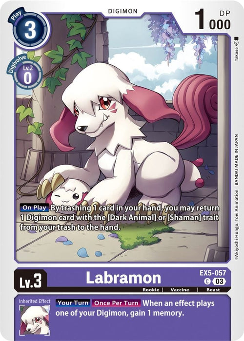Labramon (#EX5-057 C) (Animal Colosseum) Near Mint