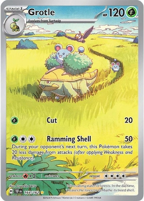 Grotle - 164/162 (#164/162) (SV05: Temporal Forces) Near Mint Holofoil