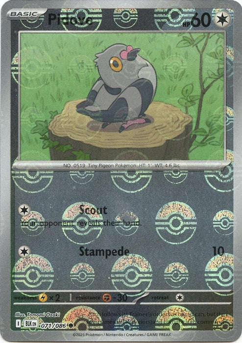 Pidove (Poke Ball Pattern) (#071/086) (SV: Black Bolt) Near Mint Holofoil