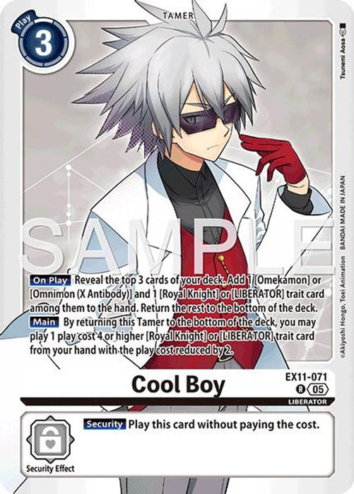 Cool Boy (#EX11-071 R) (Dawn of Liberator) Near Mint Foil