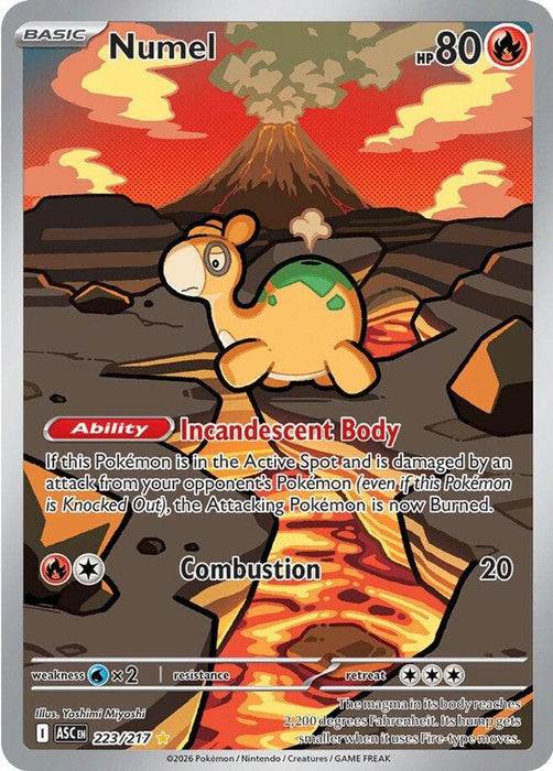 Numel 223 217 (#223/217) (ME: Ascended Heroes) Near Mint Holofoil