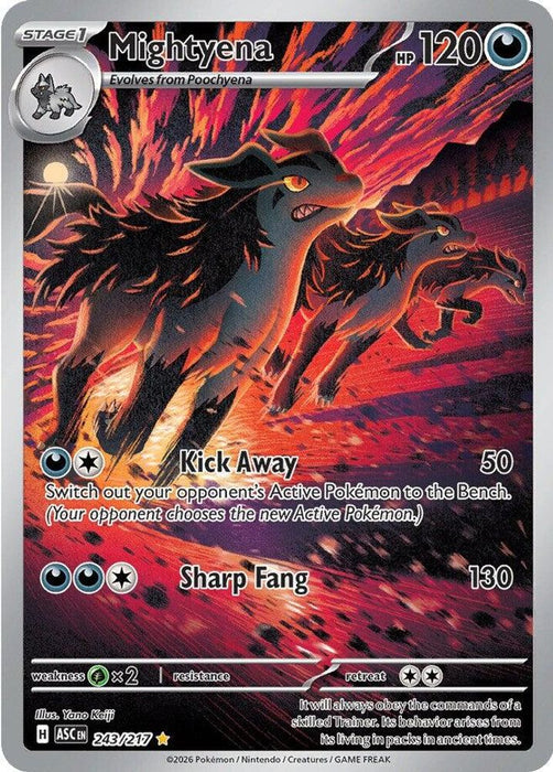 Mightyena - 243/217 (#243/217) (ME: Ascended Heroes) Near Mint Holofoil