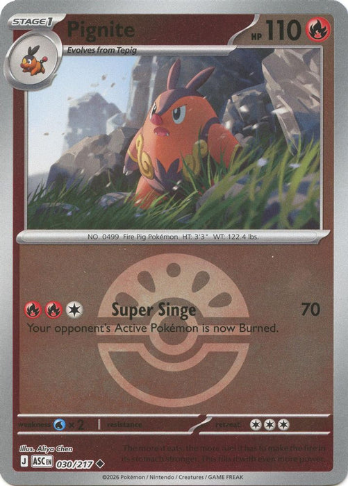 Pignite Friend Ball (#030/217) (ME: Ascended Heroes) Near Mint Reverse Holofoil
