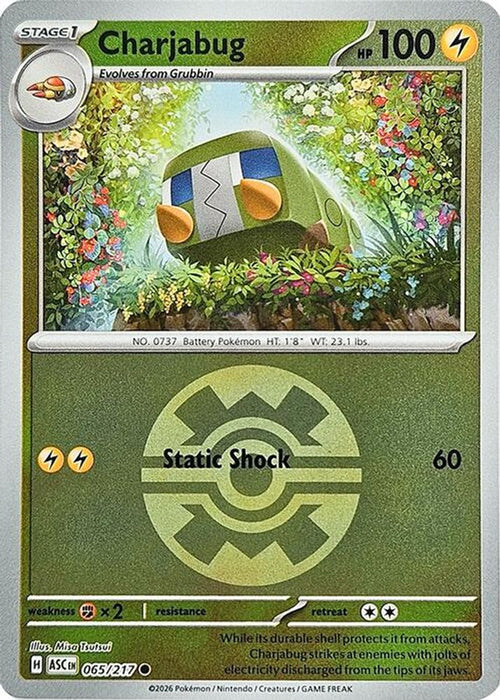 Charjabug Quick Ball (#065/217) (ME: Ascended Heroes) Near Mint Reverse Holofoil