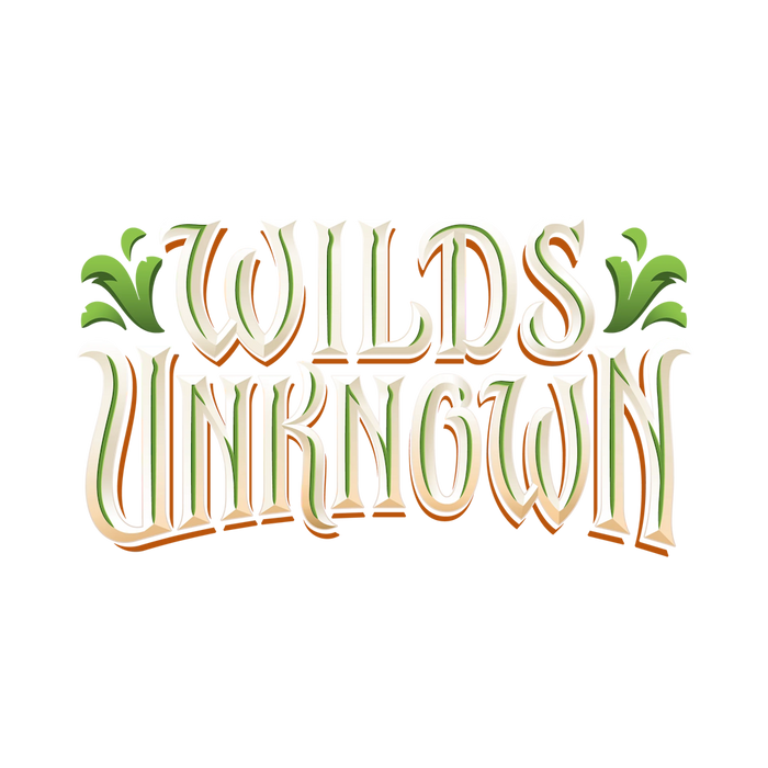 Lorcana - Wilds Unknown Set Championships Event - June 6th, 2026