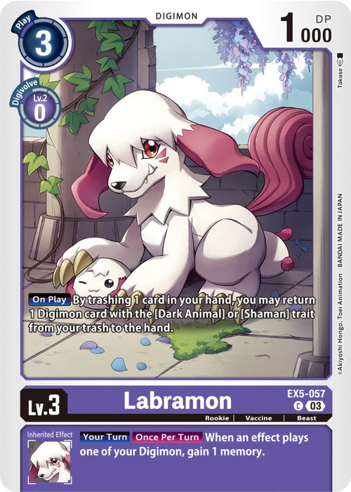 Labramon (EX5-057 C) 