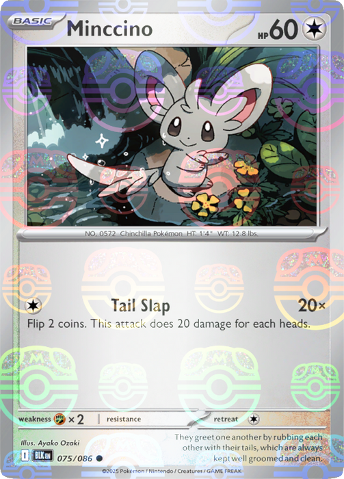 Minccino (075/086) (Master Ball Pattern) [Scarlet & Violet: Black Bolt] 