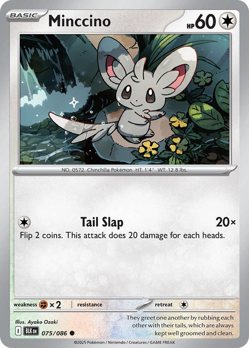 Minccino (075/086) [Scarlet & Violet: Black Bolt] 