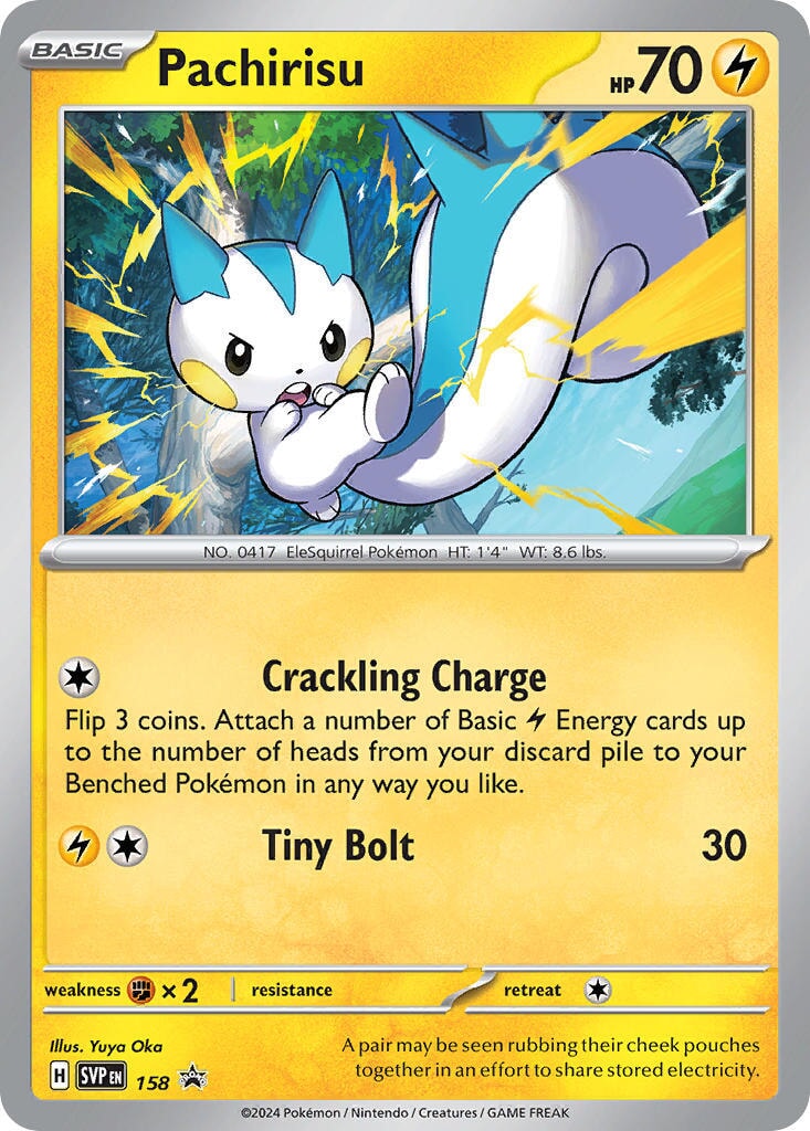 Pachirisu (158) [Scarlet & Violet: Black Star Promos] — Manta Trading