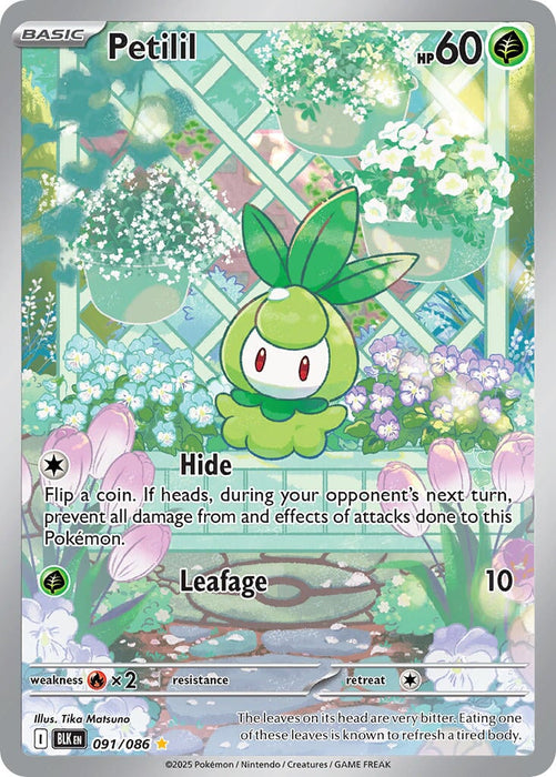 Petilil (091/086) [Scarlet & Violet: Black Bolt] 