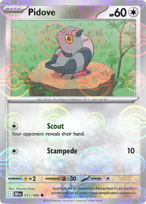 Pidove (071/086) (Poke Ball Pattern) [Scarlet & Violet: Black Bolt] 