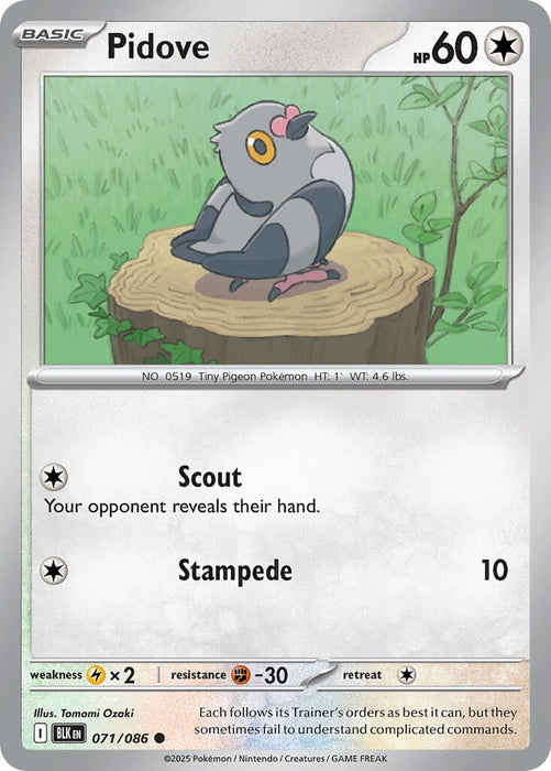 Pidove (071/086) [Scarlet & Violet: Black Bolt] 