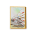 Pokemon Shanghai Lillie's Support Gift Box: Solgaleo Sleeves 