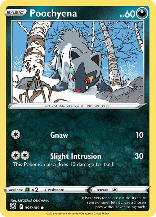 Poochyena (095/189) [Sword & Shield: Astral Radiance] 