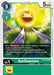 Sunflowmon (BT4-054 U) 