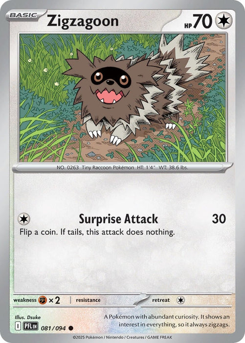 Zigzagoon (081/094) [Mega Evolution: Phantasmal Flames] 